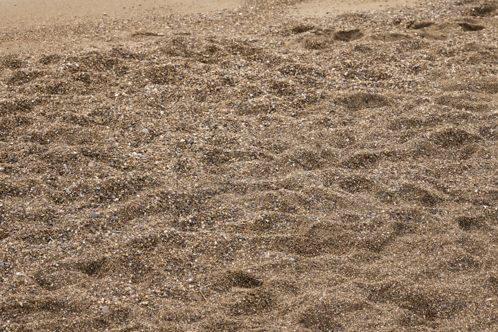 sabbia marrone con sabbia marrone
