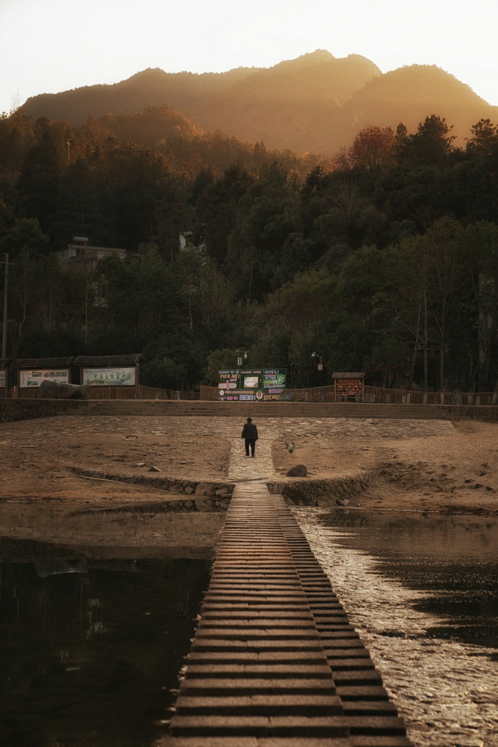 person walking on wooden pathway near green trees during daytime