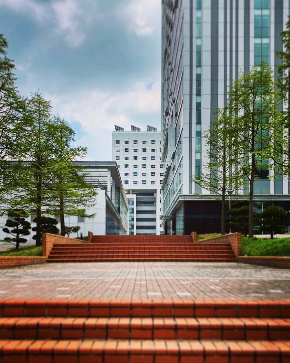 green trees near high rise building during daytime