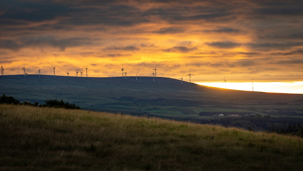 wind turbines on green grass field during sunset