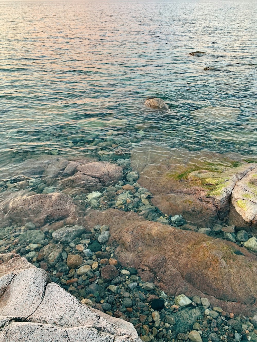 日中の水域の灰色と茶色の岩