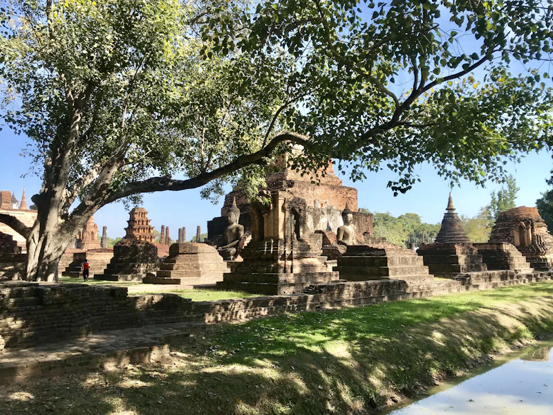Best Co-Living Spaces for Digital Nomads in Sukhothai