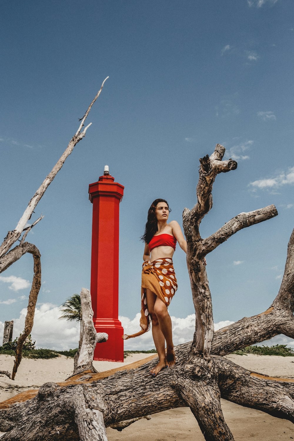 woman in brown and black leopard print dress sitting on brown tree branch during daytime