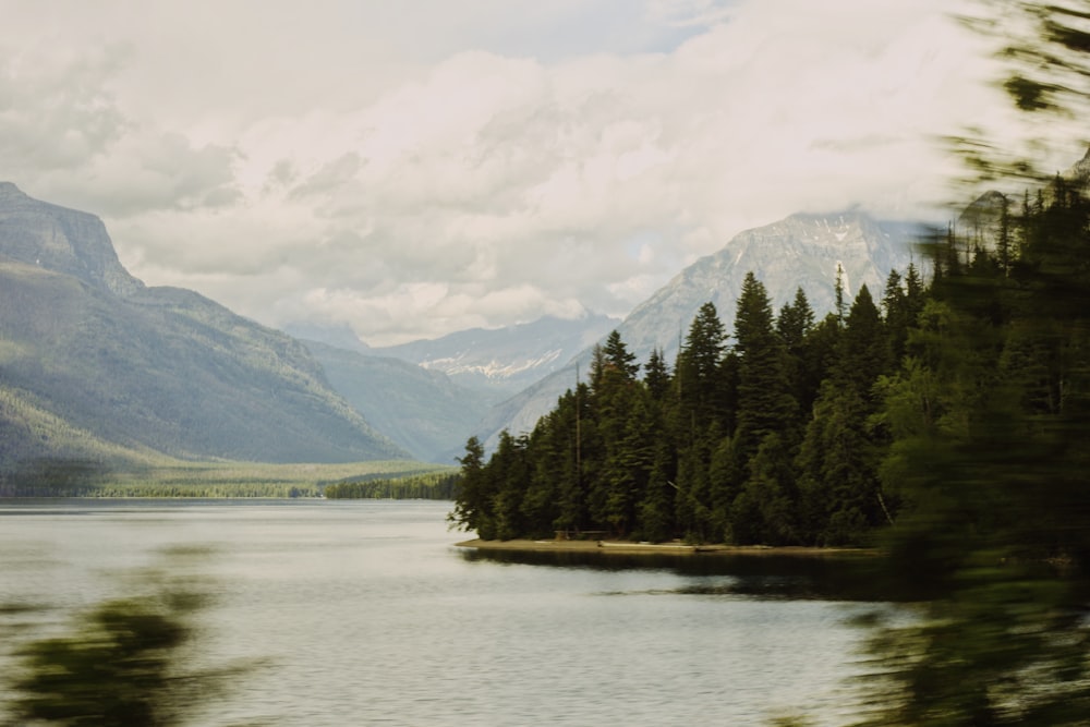 green pine trees near lake under white clouds during daytime