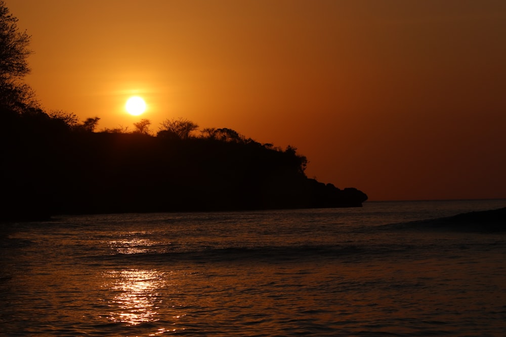 silhouette of trees on island during sunset