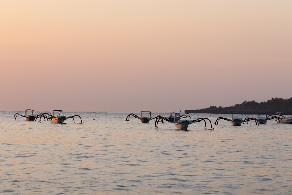 flock of birds on water during daytime