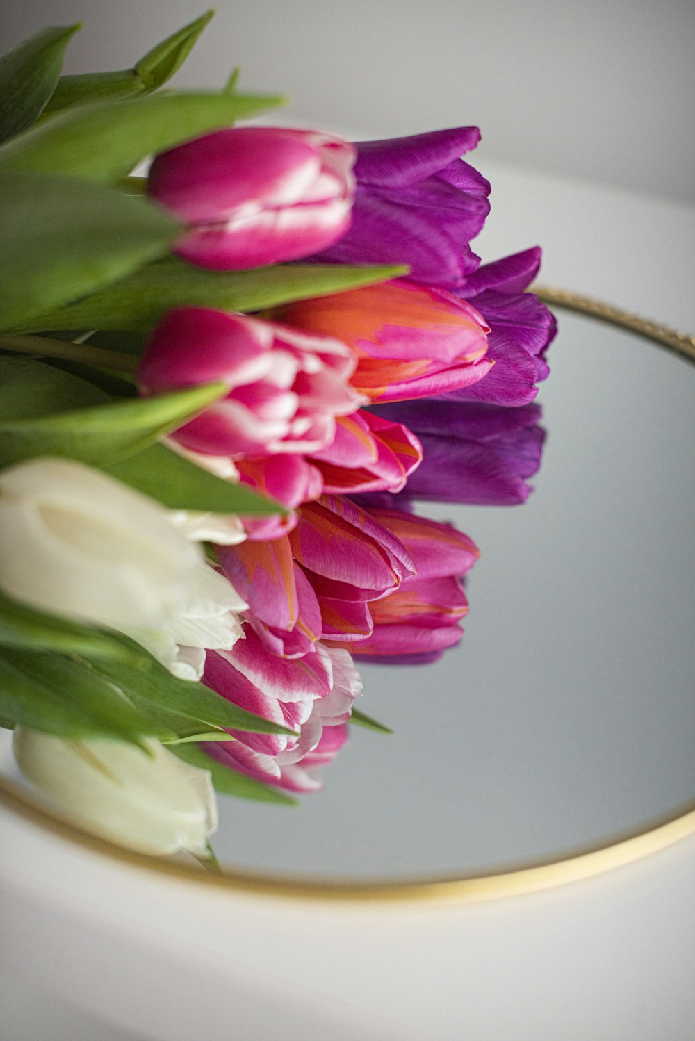 pink and white flower on white ceramic vase