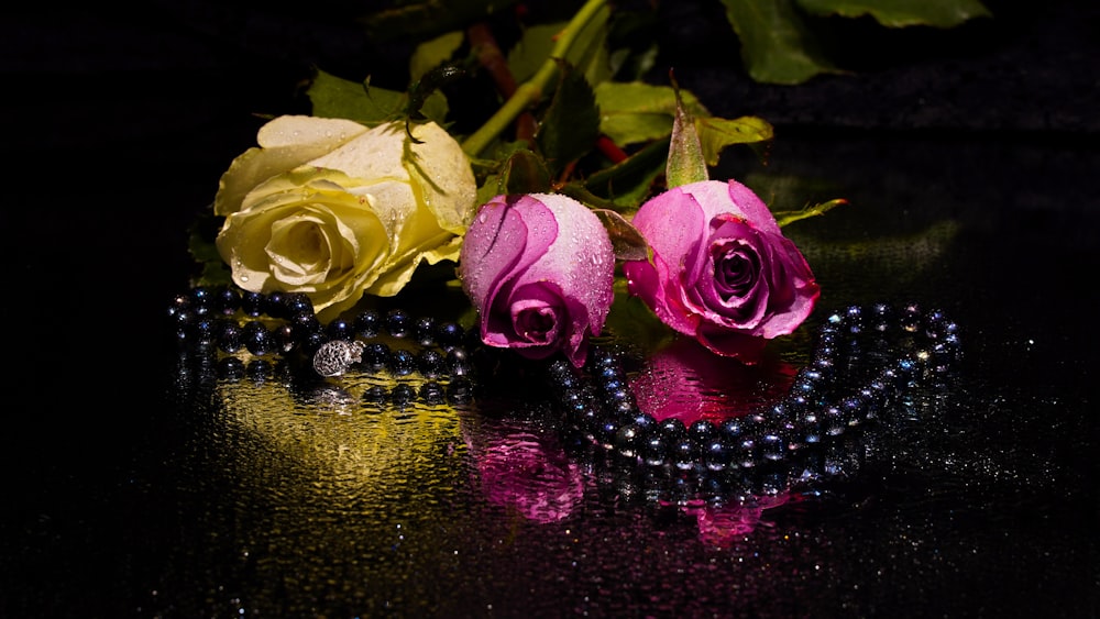 pink roses on water with black beaded necklace