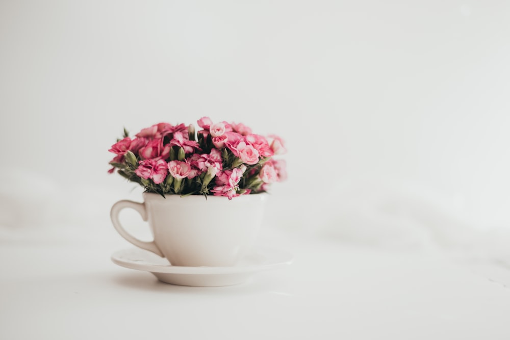 pink flowers in white ceramic teacup