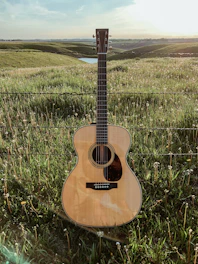 A weathered guitar resting against a dusty roadside fence at sunset.