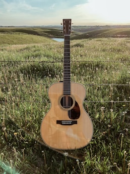 A rustic guitar resting against a wooden fence in a sunlit field.