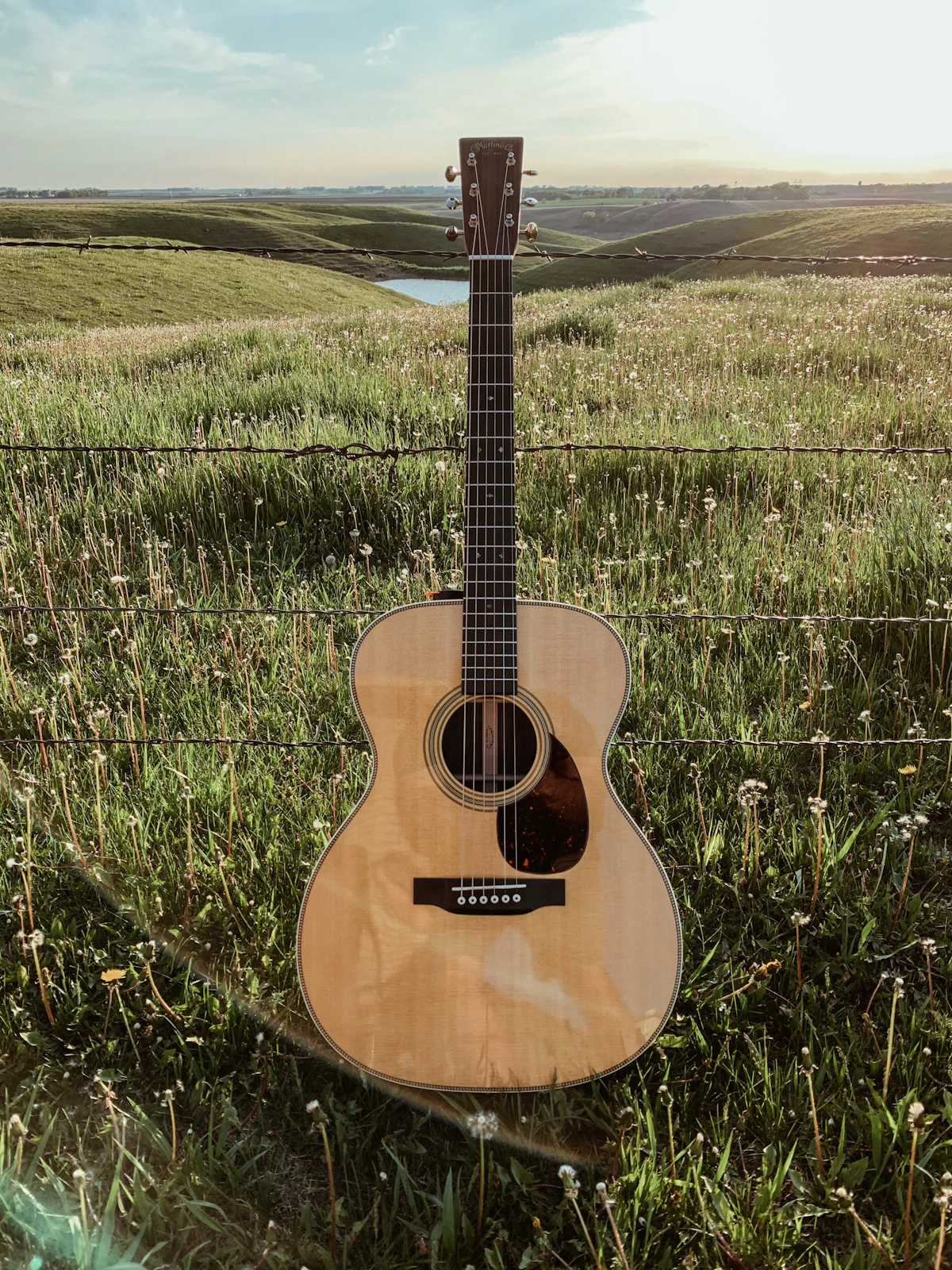 Một cây đàn guitar thùng màu nâu đặt trên bãi cỏ xanh.