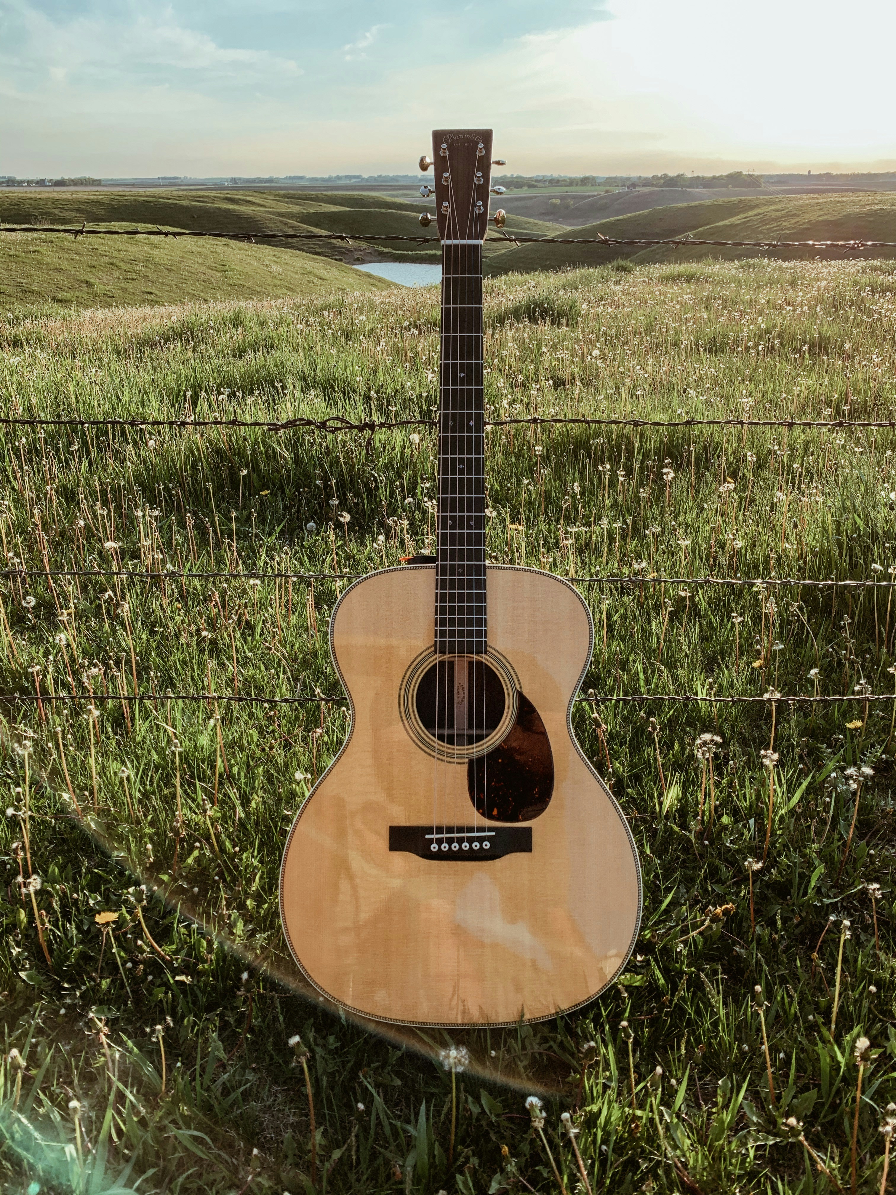Martin OM-28 in the country