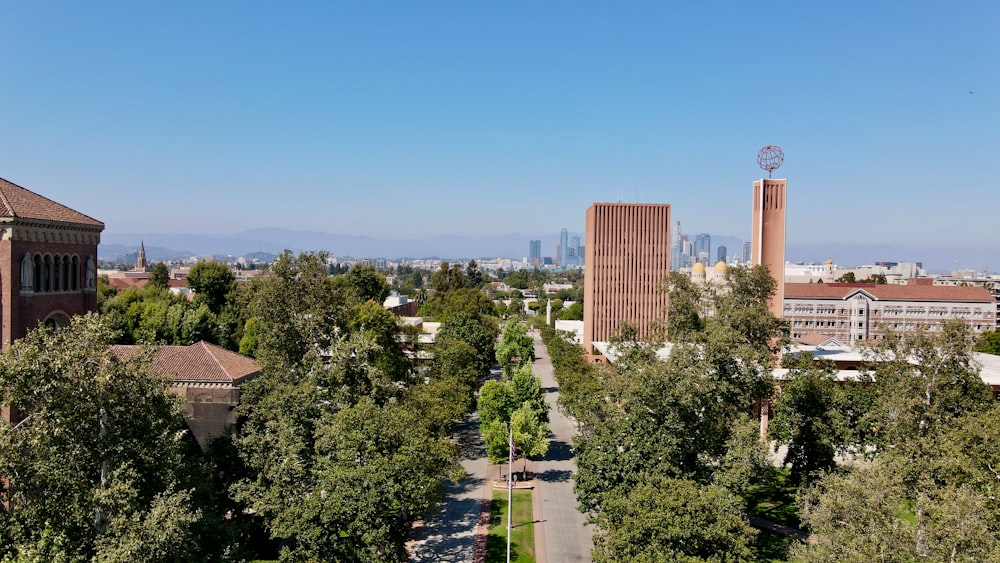 Arbres verts près des bâtiments de la ville pendant la journée