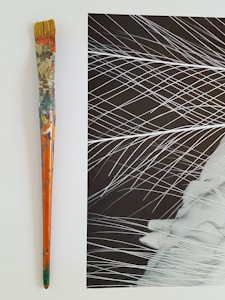 Evening Glow Landscape