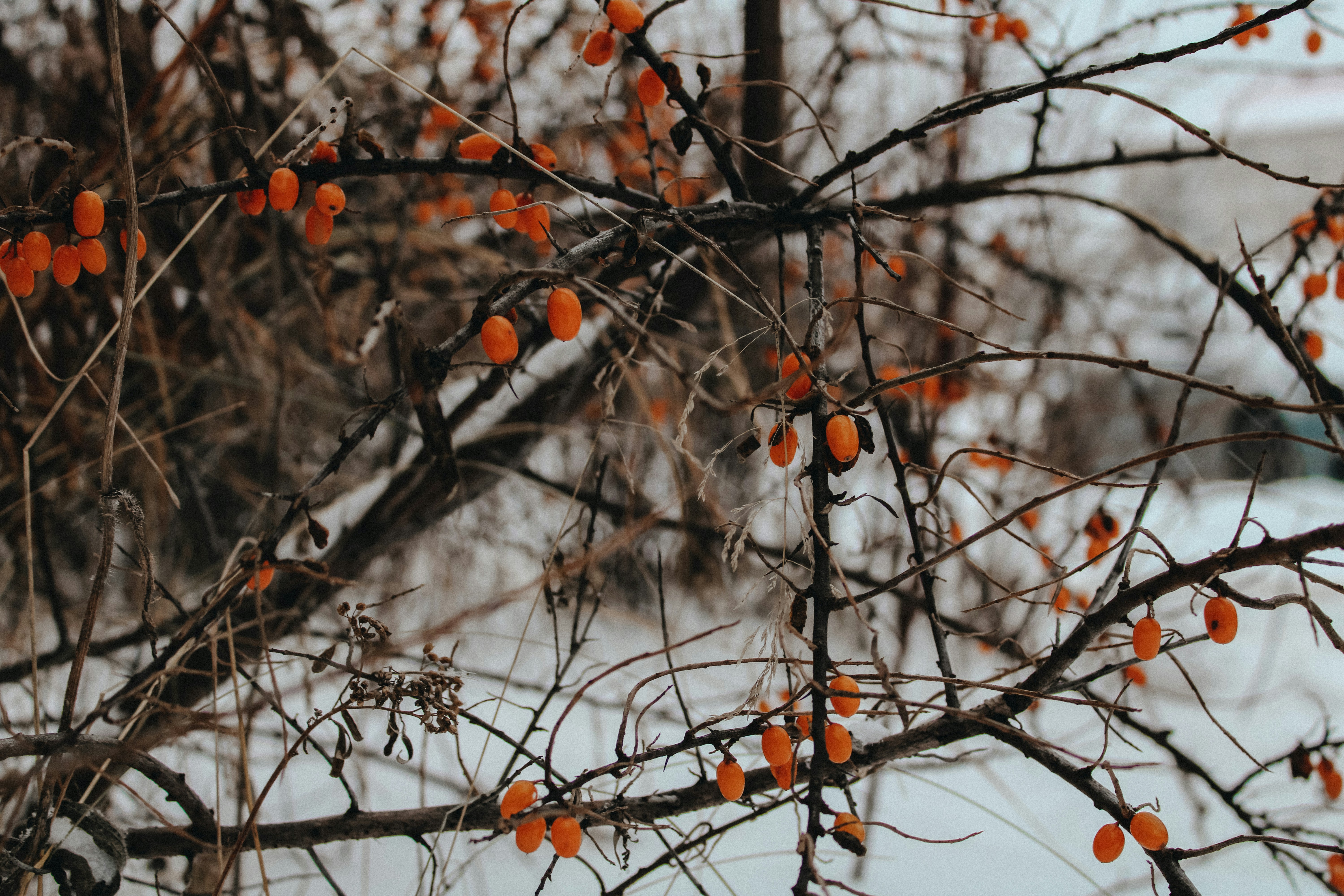 Photo by sandra_vi