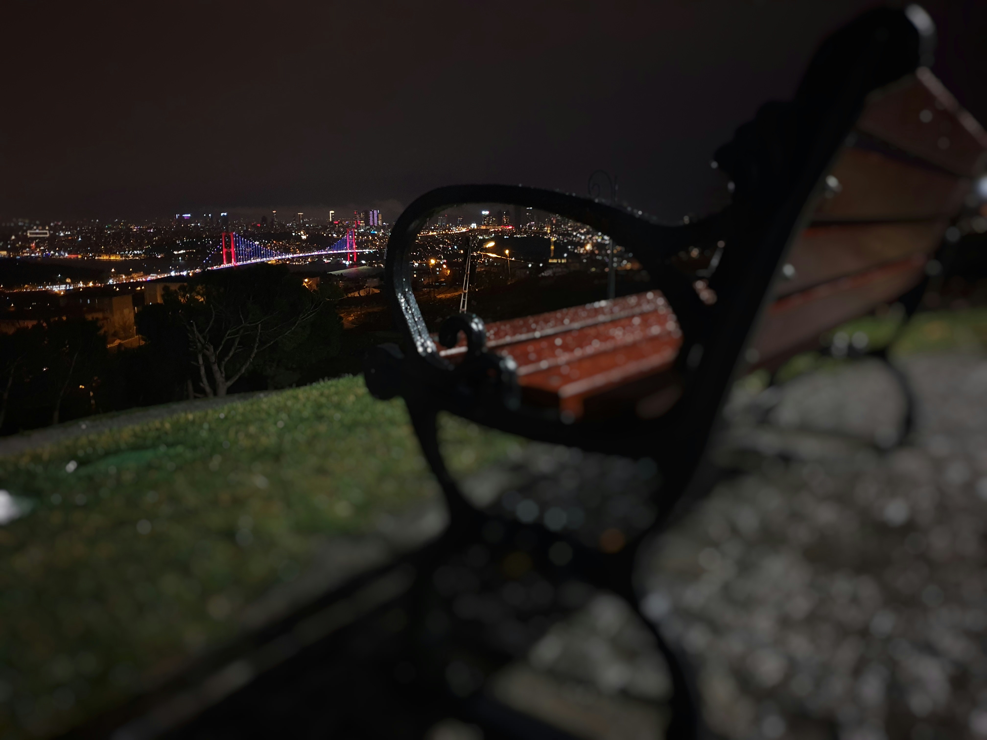 brown wooden bench on green grass field during night time