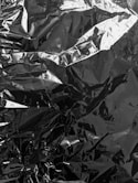 grayscale photo of leaves on ground