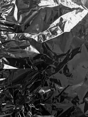 grayscale photo of leaves on ground