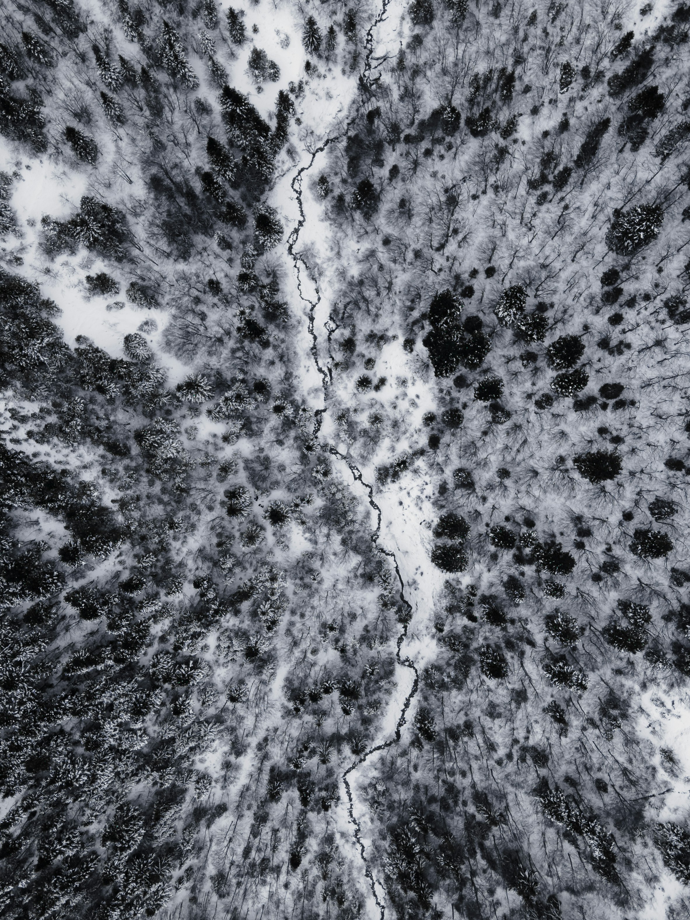 Photo by thomasdeluze