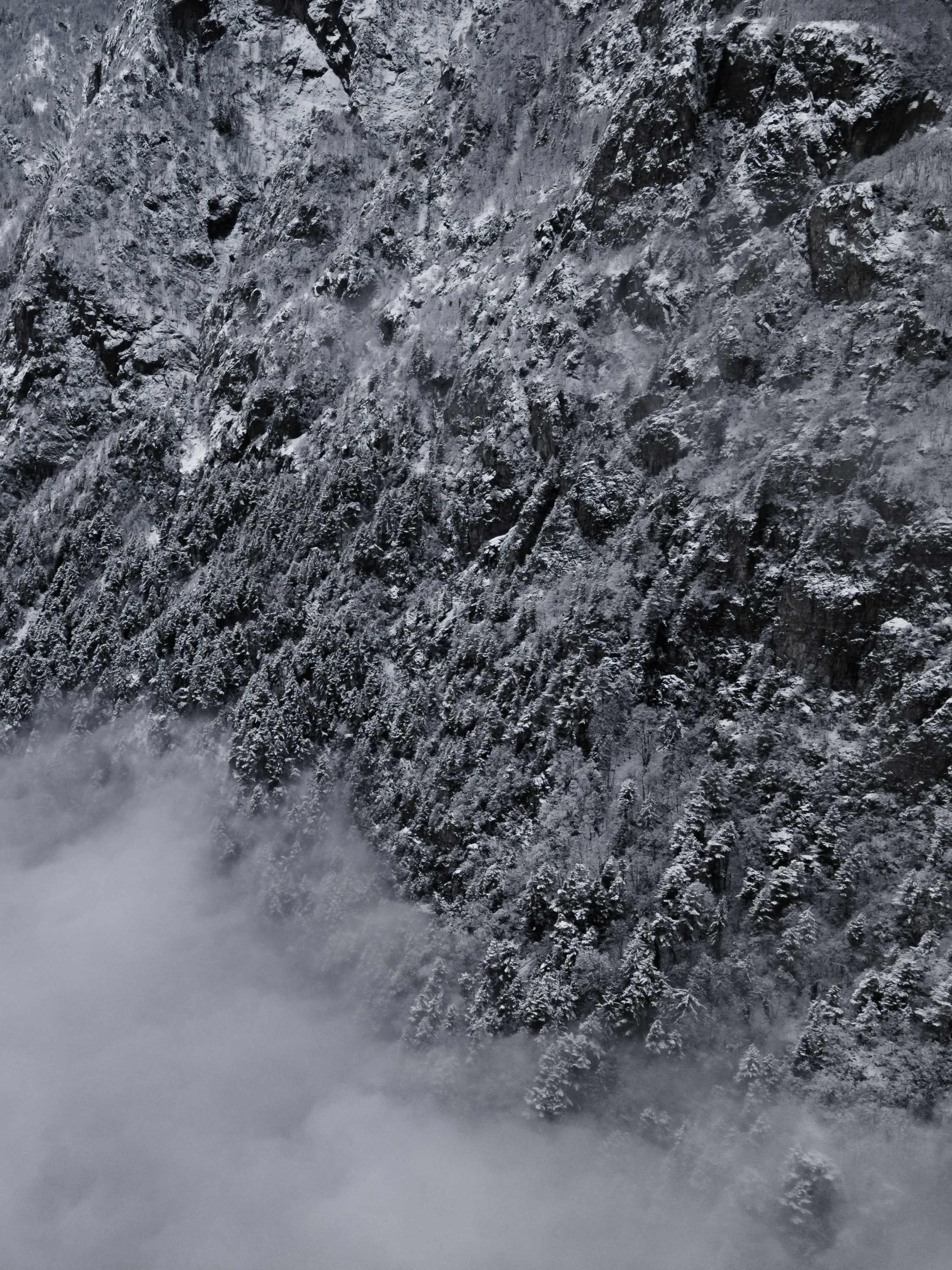 Photo by thomasdeluze