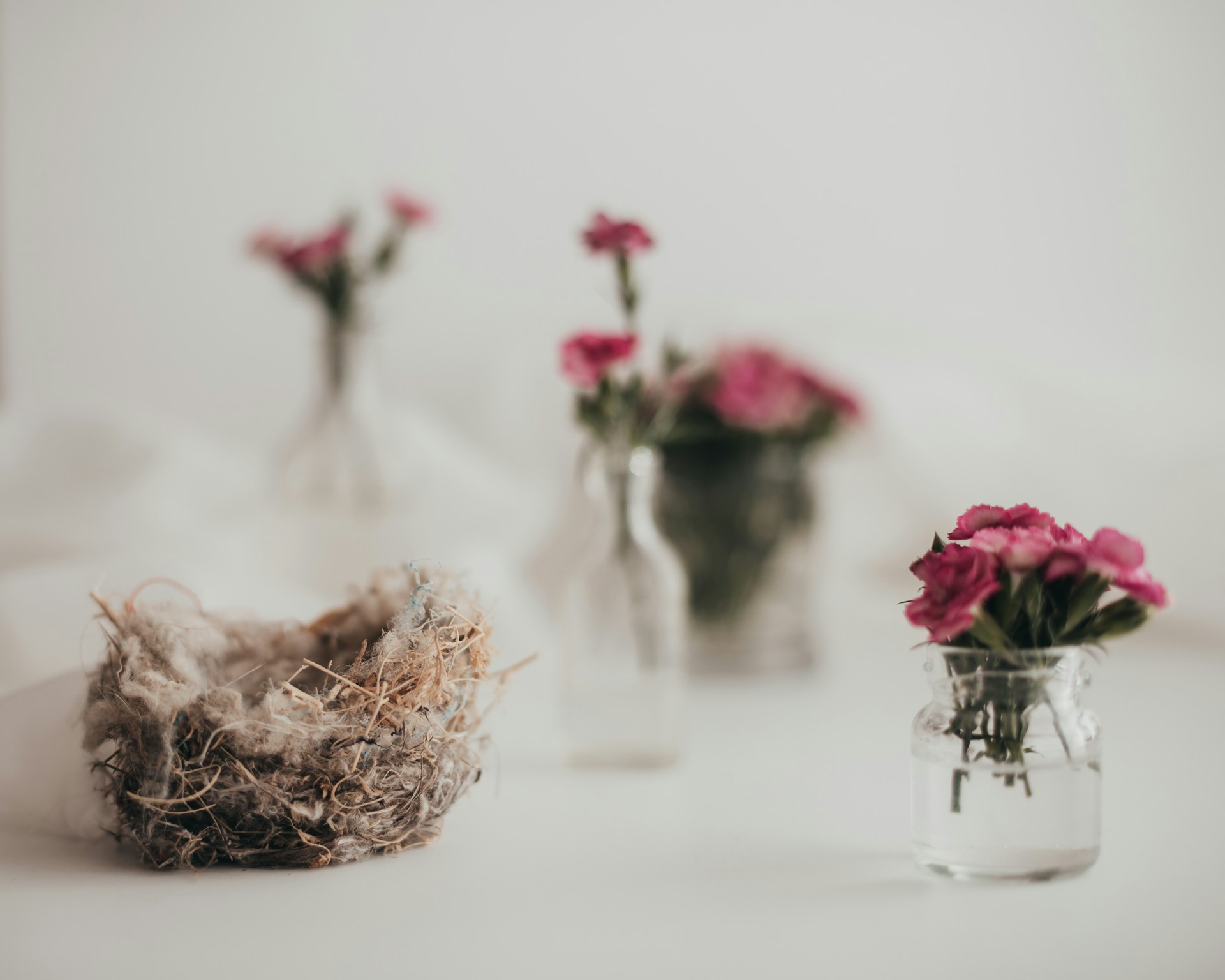 pink and white flowers in clear glass vase