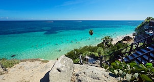 green palm trees on white sand beach during daytime
