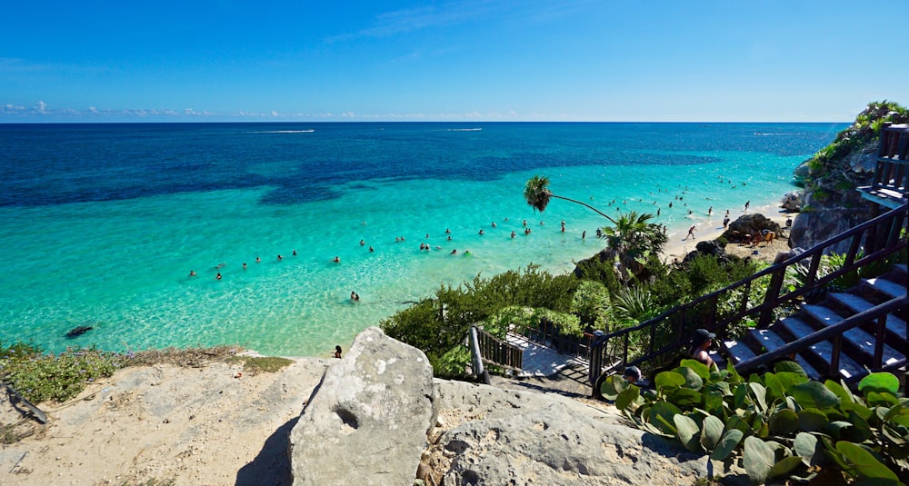 green palm trees on white sand beach during daytime