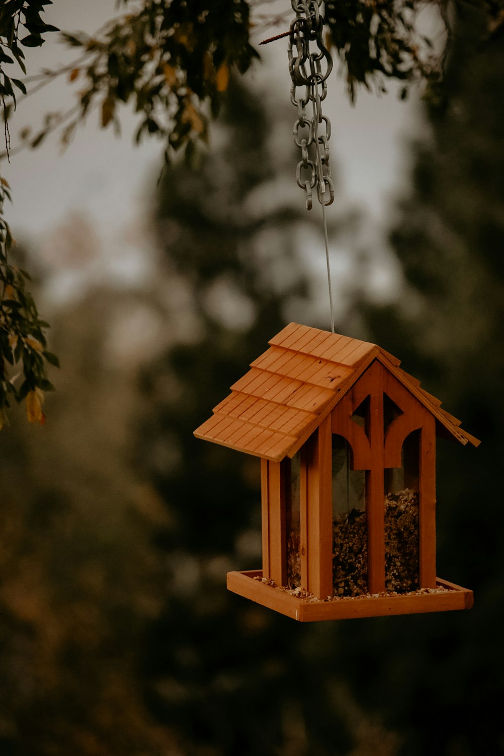 casa de pájaros de madera marrón que cuelga en un árbol de madera marrón
