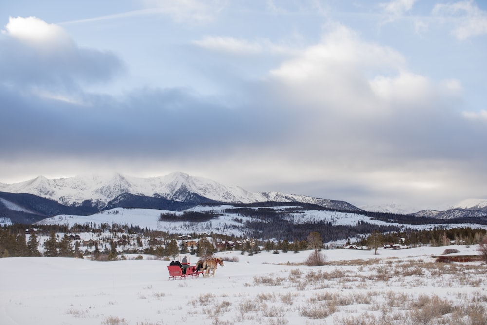 people riding on horse on snow covered field during daytime