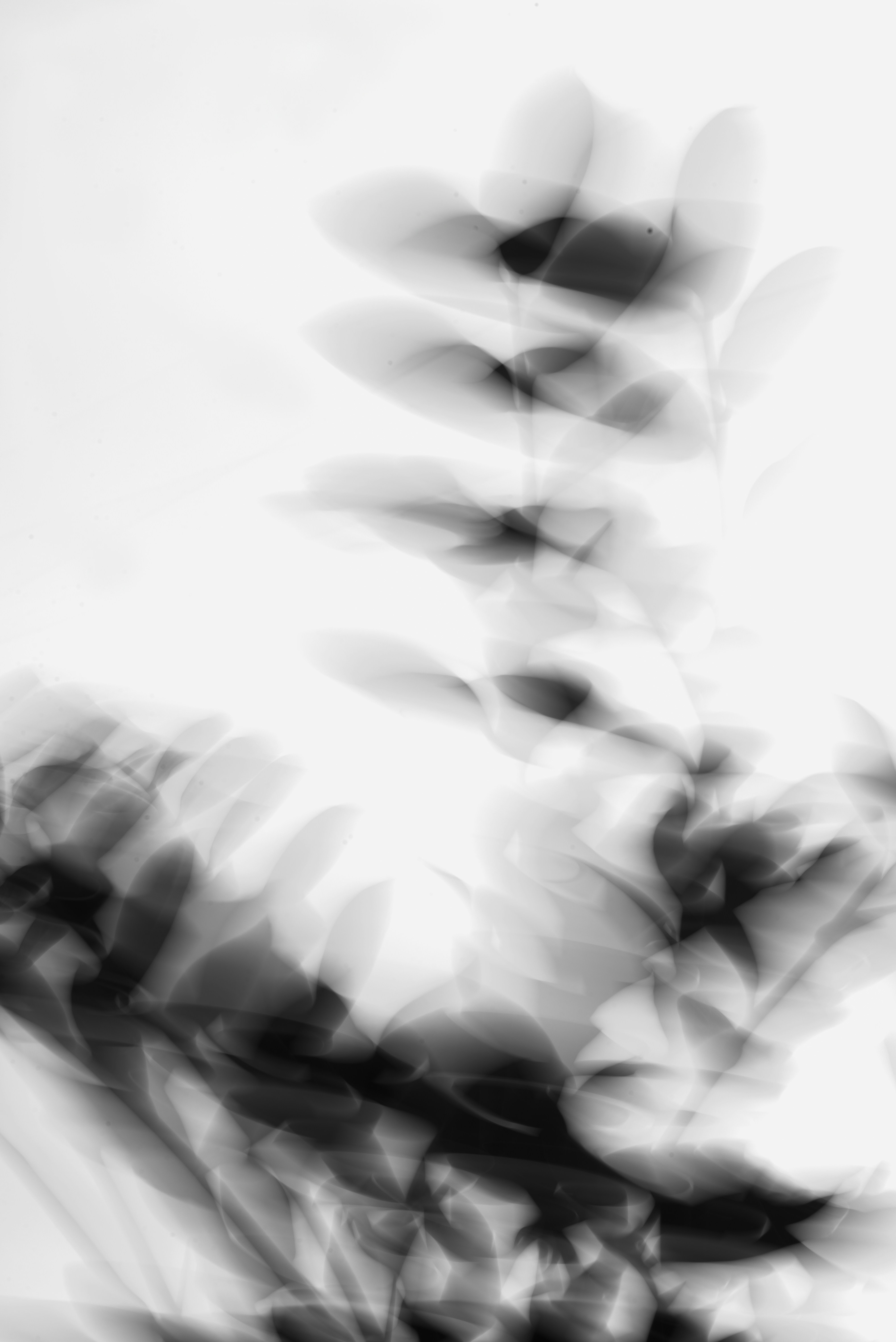 Photo by yuli_superson