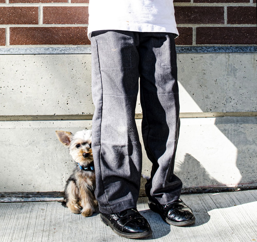 person in blue denim jacket and black pants standing beside brown and black yorkshire terrier