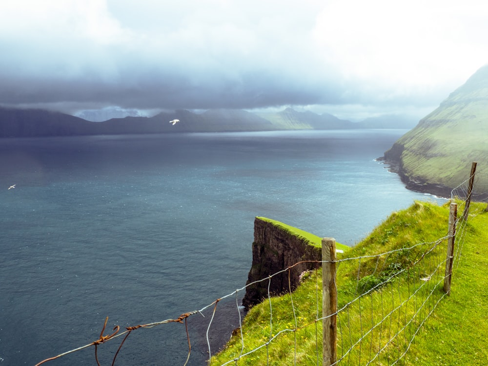 green grass field near body of water during daytime