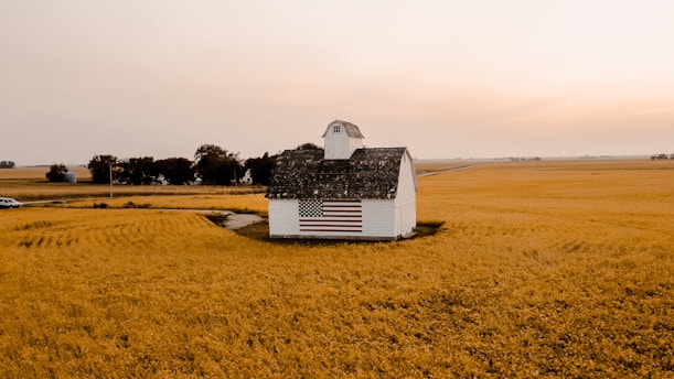 white and black house on brown field under white sky during daytime