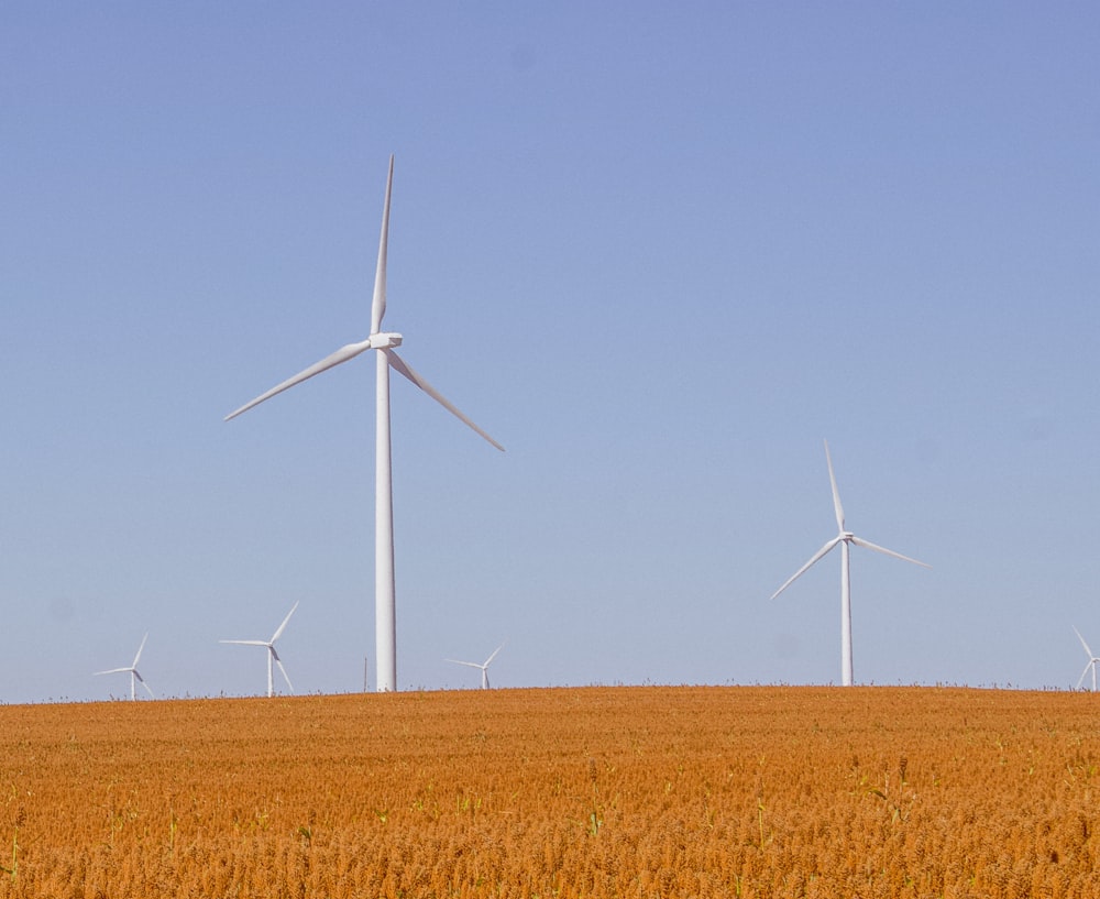 white wind turbines on brown field under blue sky during daytime
