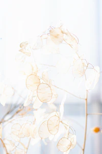 white and brown floral decor