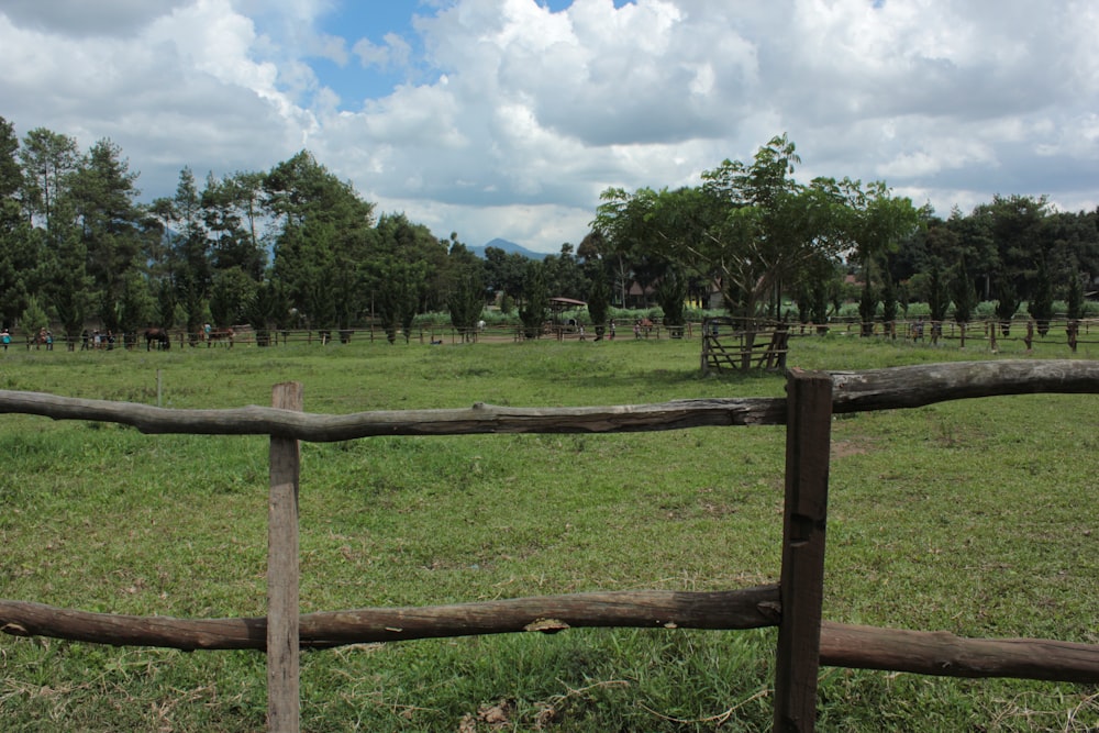 Campo de hierba verde con valla de madera marrón bajo cielo nublado azul y blanco durante el día