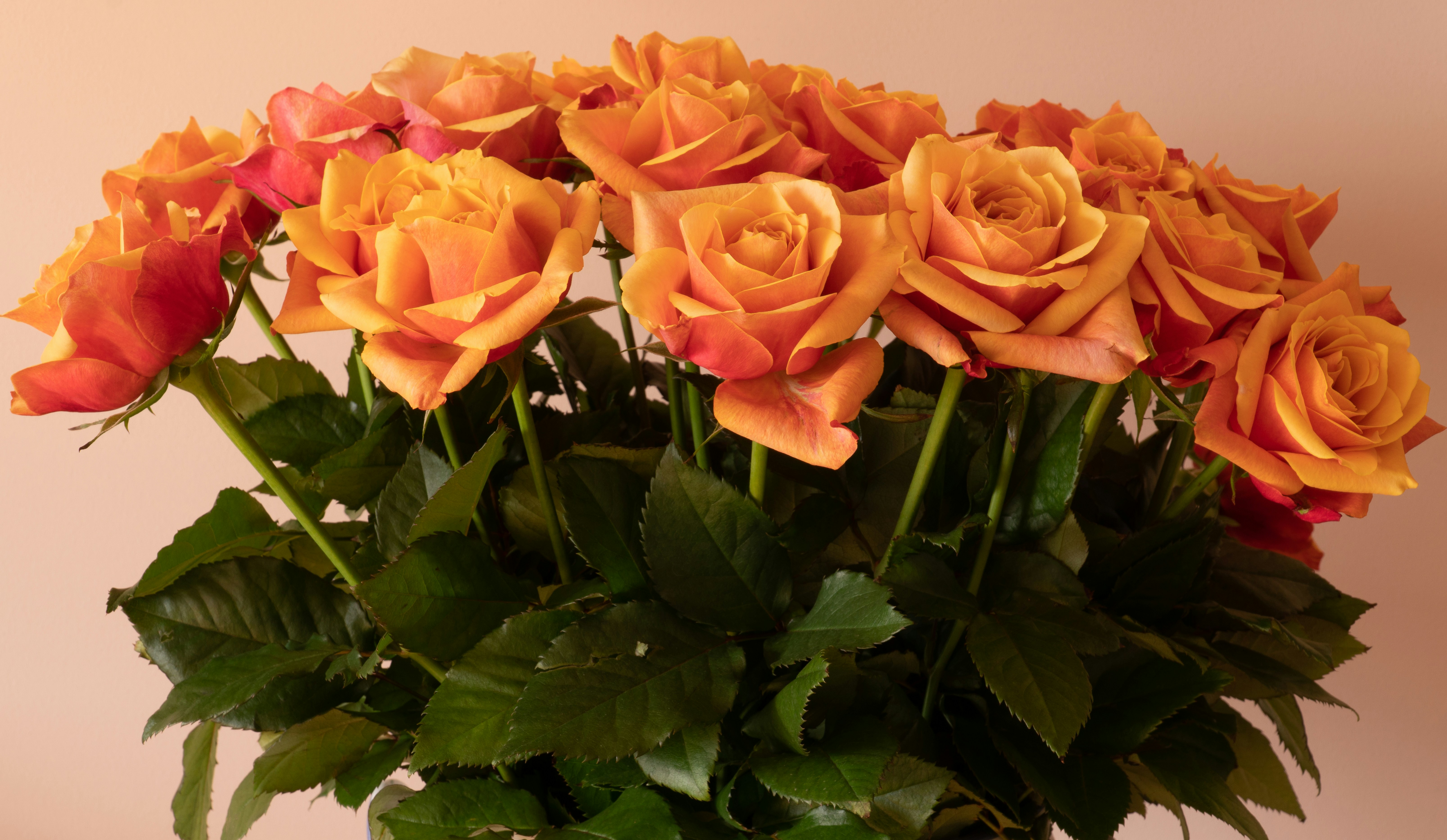 Rose Delight Bouquet