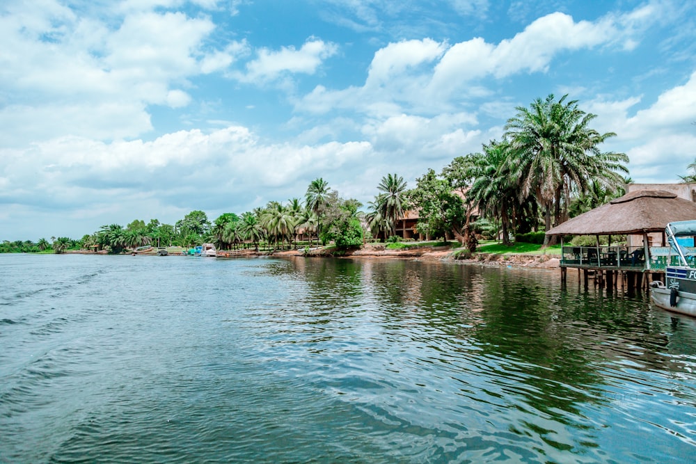 green trees beside body of water under blue sky during daytime