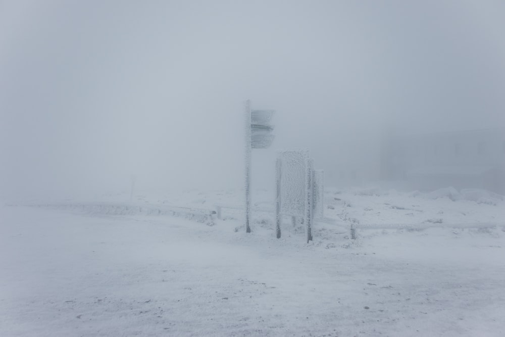 snow covered field with trees during daytime