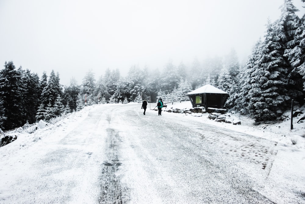 2 Personen gehen tagsüber auf schneebedeckter Straße