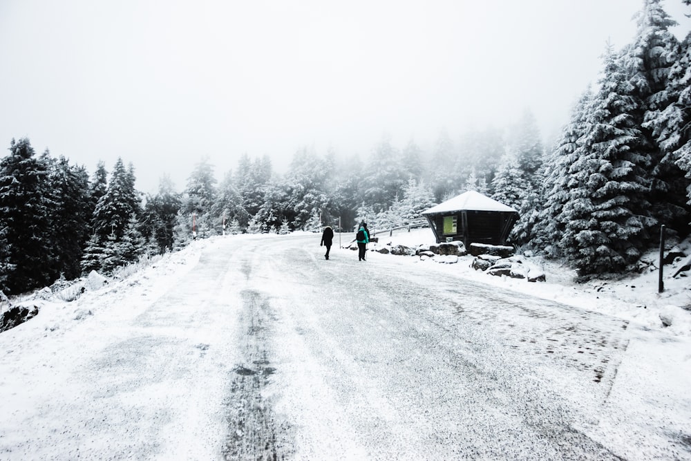 2 person walking on snow covered road during daytime