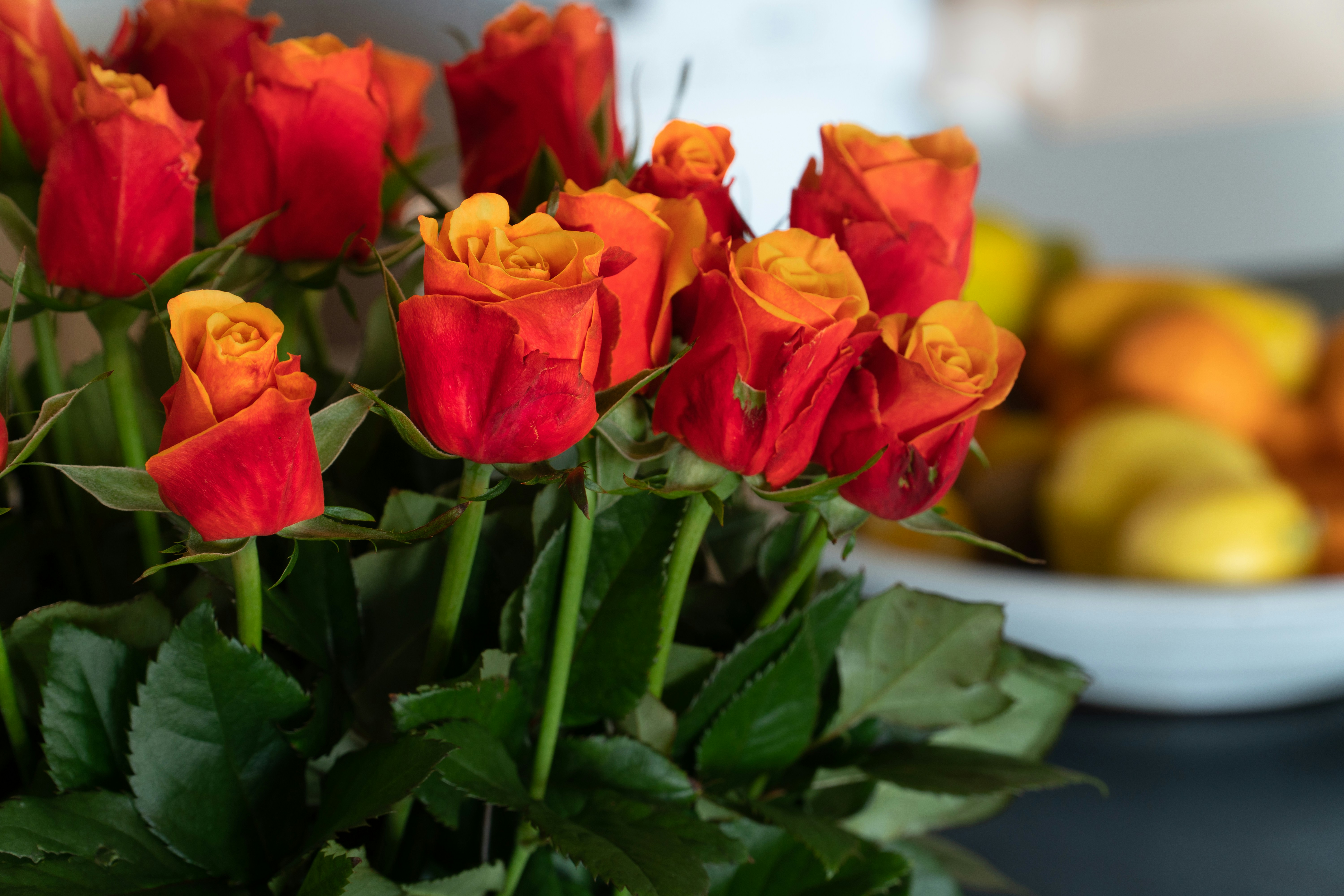 Photo by earl_plannerzone