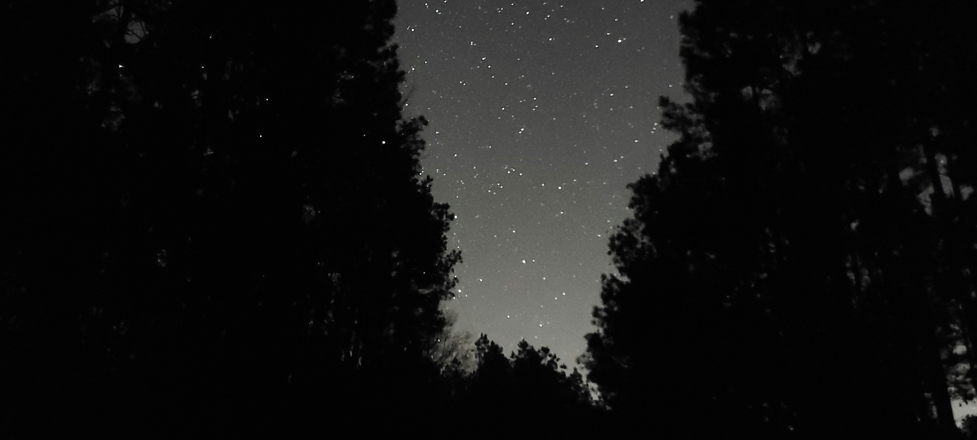 Photo by gphotography1002