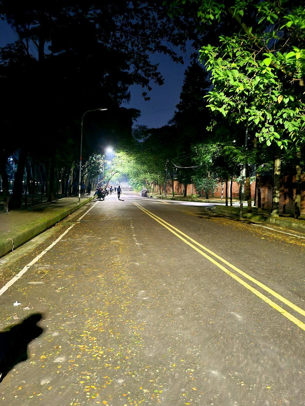persona che va in bicicletta su strada durante la notte