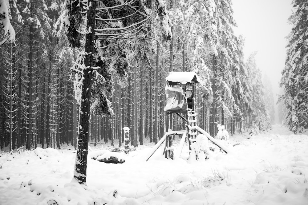 black and white wooden chair on snow covered ground