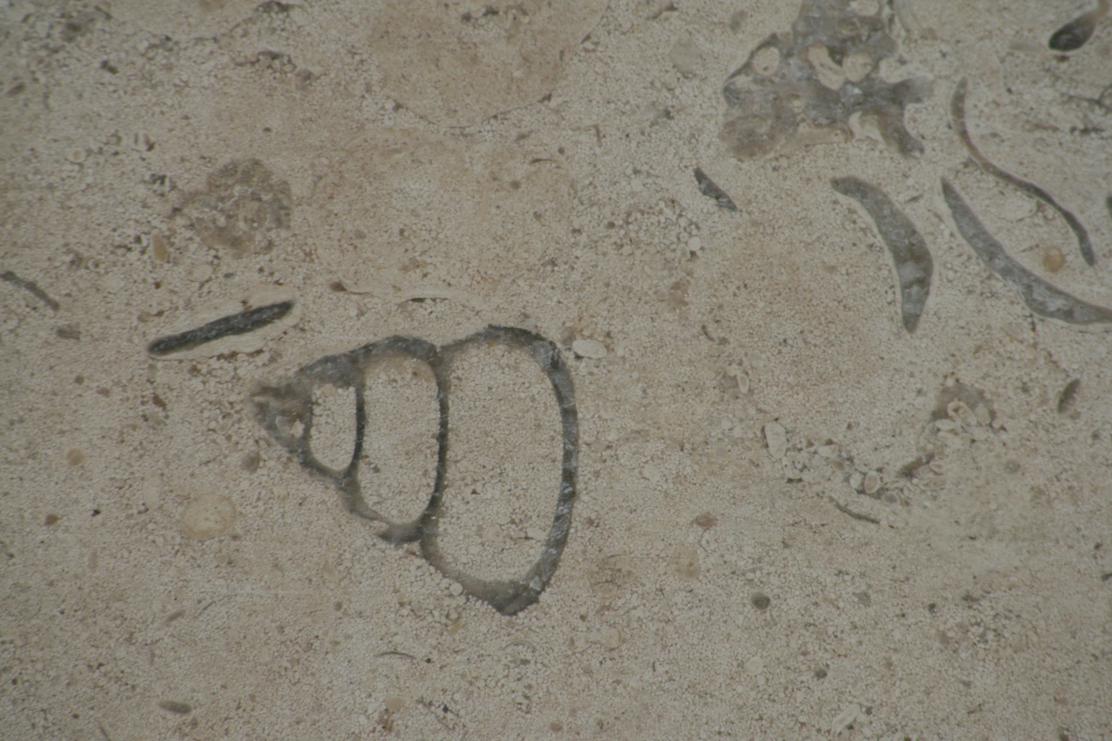 Elegant Stone Slab Collection