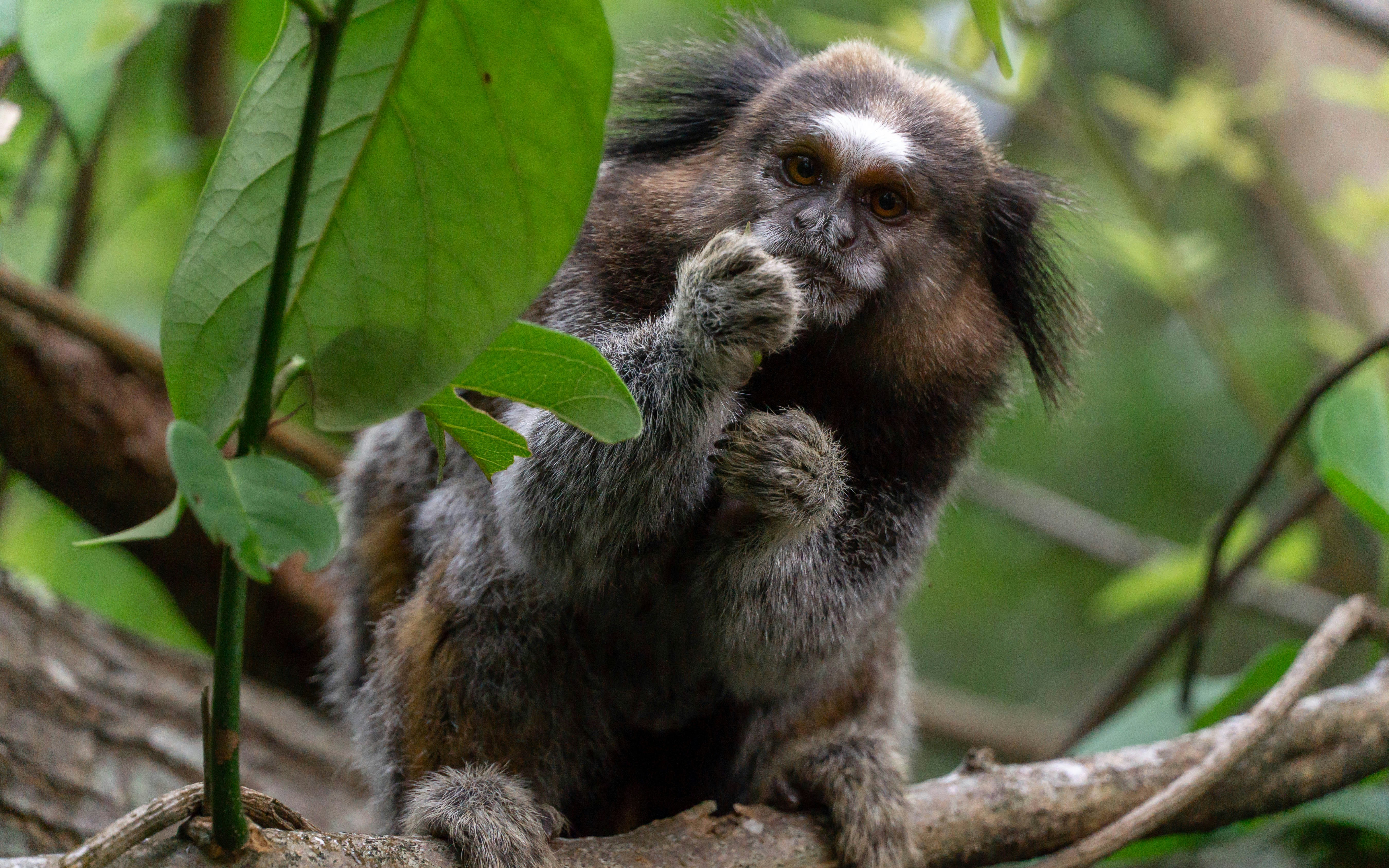 Photo by filipe_cantador