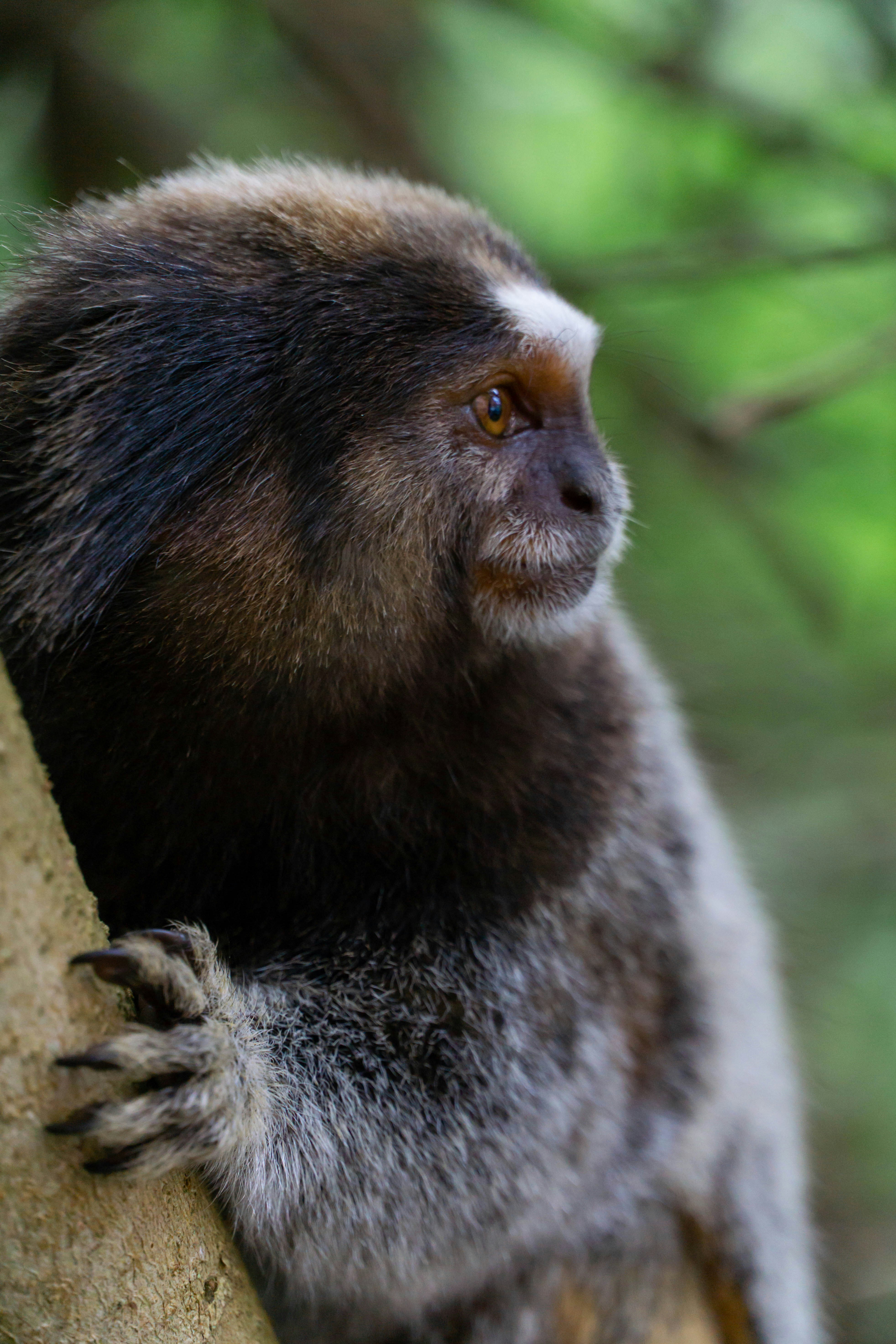 Photo by filipe_cantador