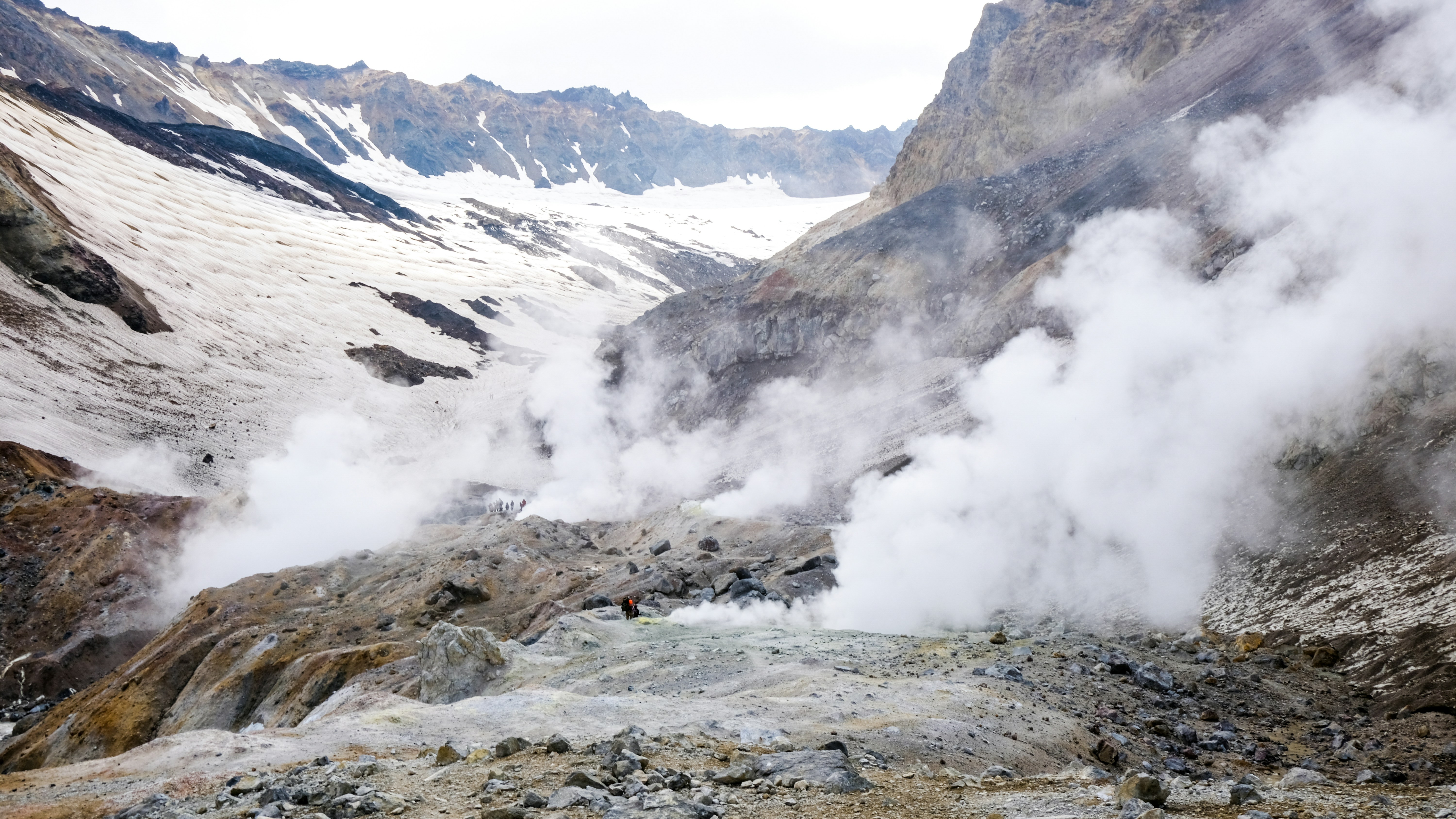 白老先生的小虐文